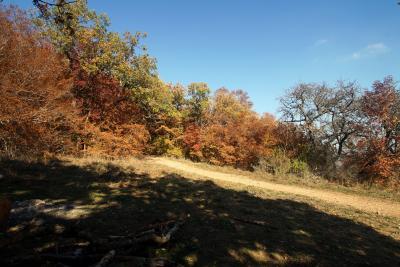 Прикрепленное изображение: A58-2 DSC00877.JPG